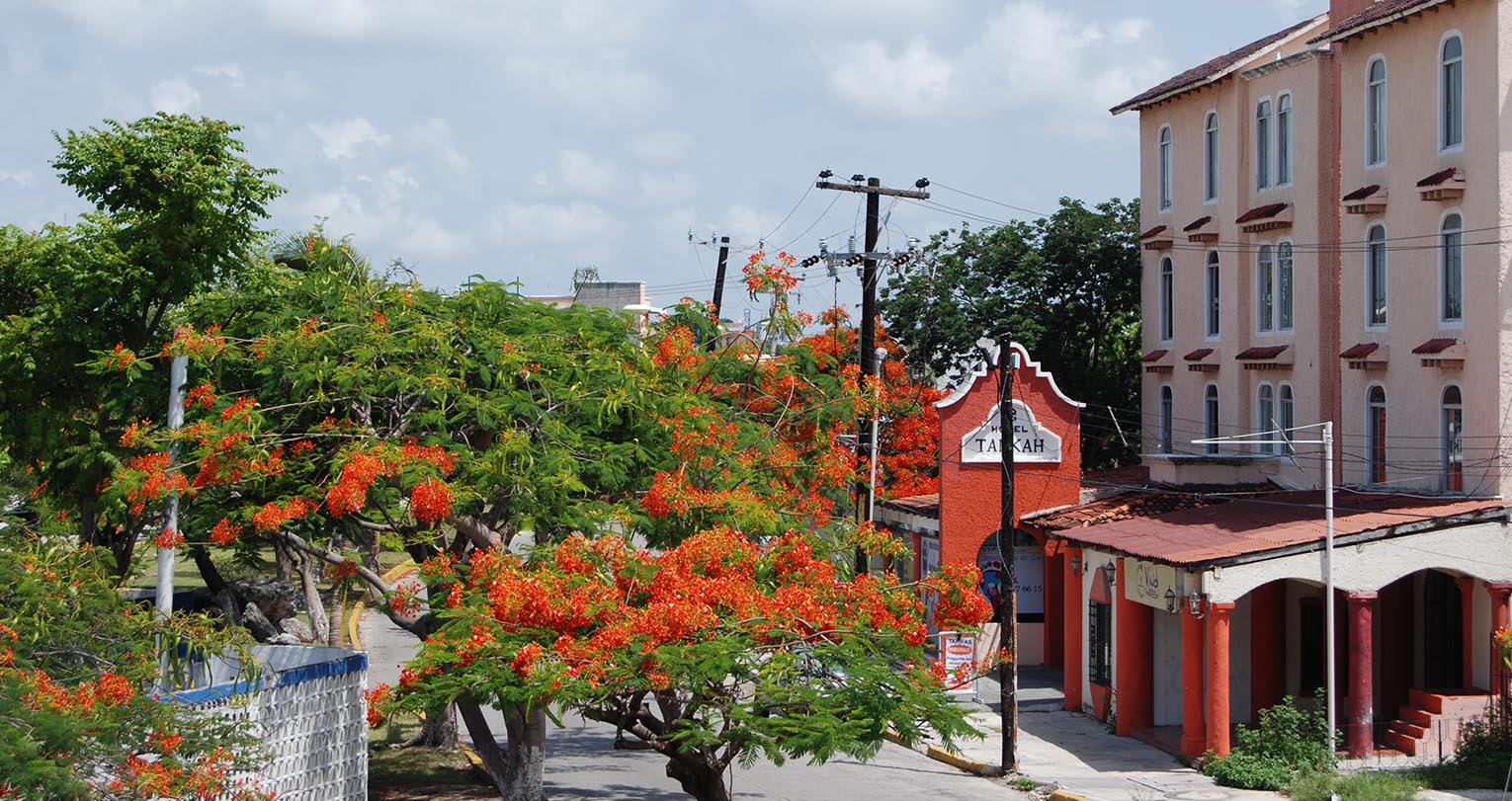 Hotel Tankah — imagen 3