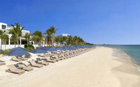 Royalton Splash Riviera Cancún — imagen 2
